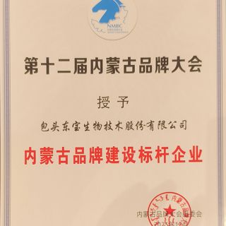 內蒙古民族品牌建設標桿企業(yè)